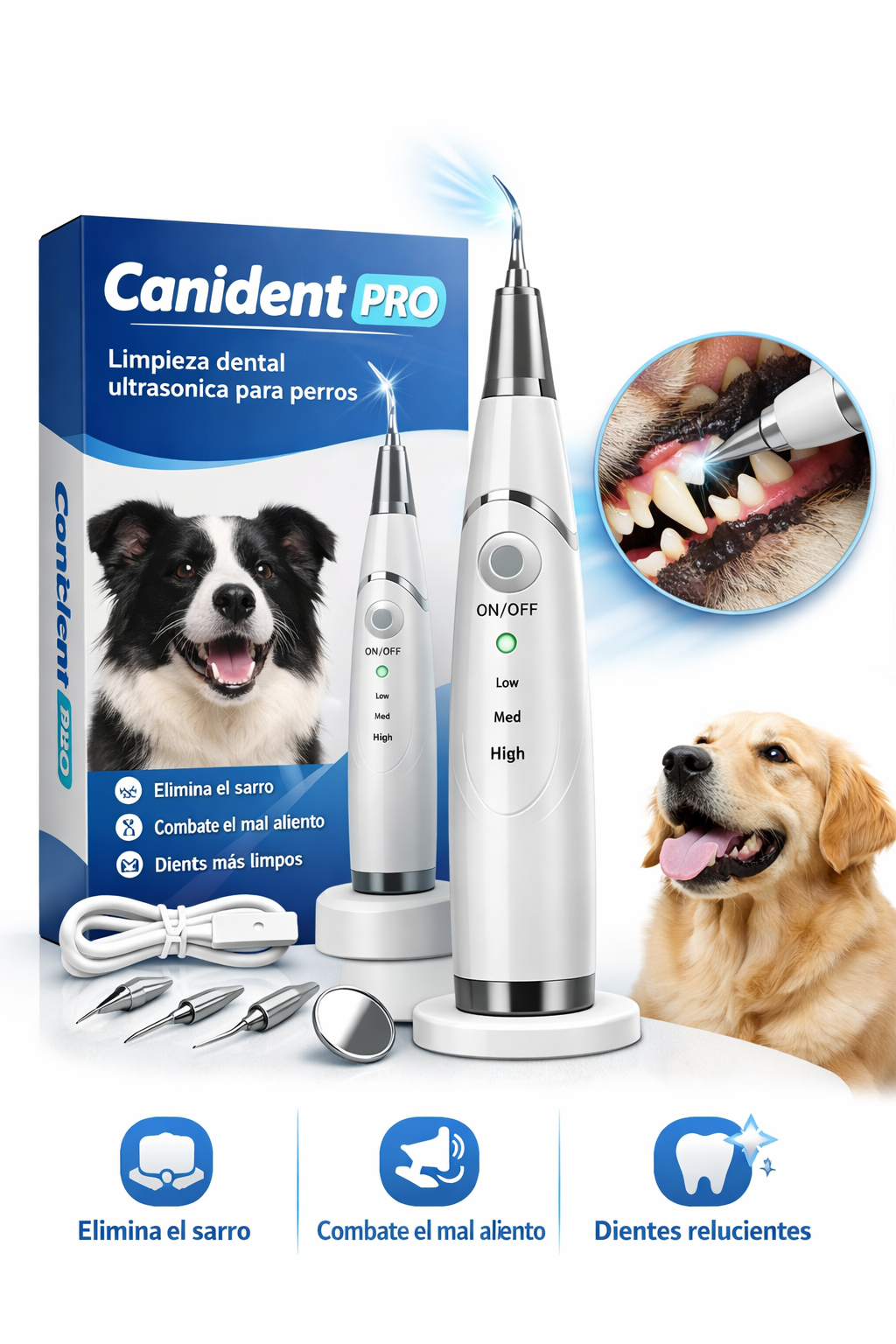 Canident PRO